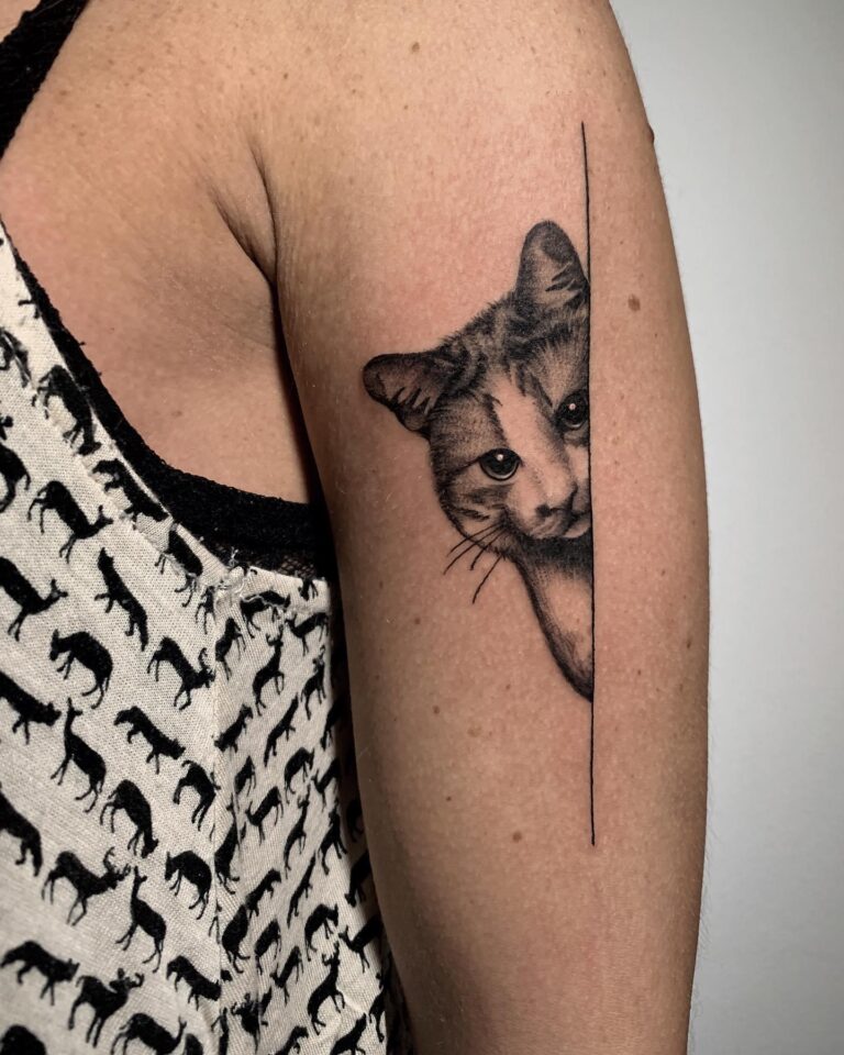 gatto